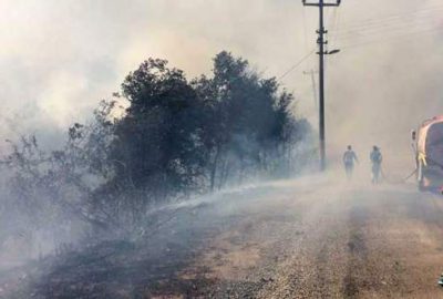 Alanya’da turistik bölgede yangın
