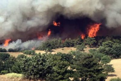 Çanakkale’de orman yangını