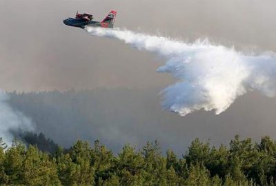 Orman Genel Müdürü: ‘Yangının yüzde 70-80’ini çevirdik’