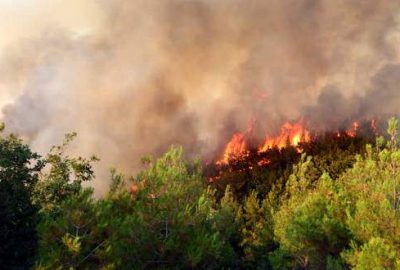 Çanakkale’deki orman yangınında rüzgar endişesi