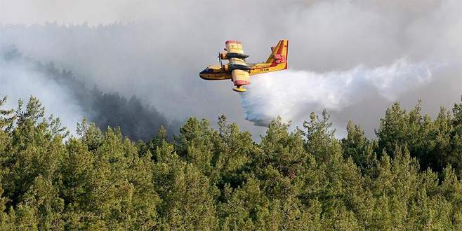 İzmir’deki orman yangını kısmen kontrol altına alındı