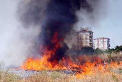 Köpekler ve tavuklar yanmaktan son anda kurtarıldı