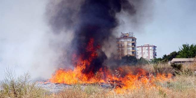 Köpekler ve tavuklar yanmaktan son anda kurtarıldı