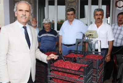 Ahudu destekleme alımı başladı