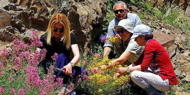 Tirebolu bezinin renkleri doğadan gelecek