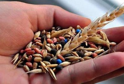 Bitkisel üretim destek ödemelerinde süre uzatımı