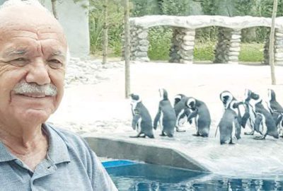 Penguenler geldi, şimdi sıra fillerde