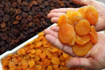 Malatya kayısısına AB tescili