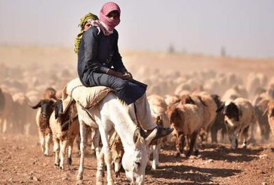 Bedevilerin son durağı Fırat Kalkanı bölgesi