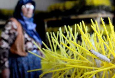 Damızlık koza yetiştiriciliği bitme noktasında