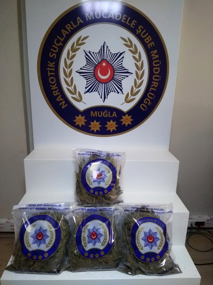 Yolcu otobüsüne uyuşturucu operasyonu