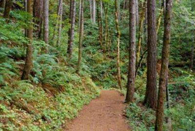 Valilik 3 ay boyunca yasakladı!