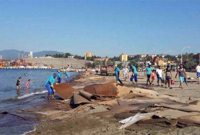 Kıyıya vuran suntaların temizliğine Büyükşehir el attı