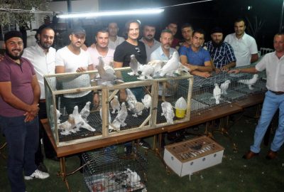 Güvercin severler Aydın’da buluştu