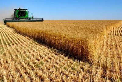 Buğdağda hedef 30 bin ton üretim