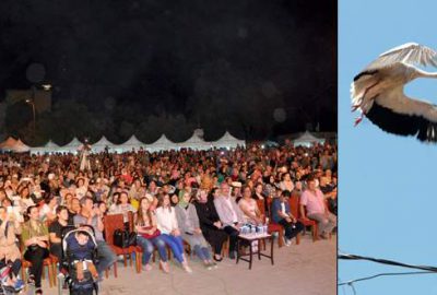 ‘Leylek Festivali’ne ilgi büyüktü