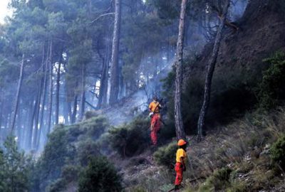 Antalya’da alev alan otobüsteki yangın ormana sıçradı