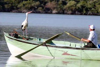 Balıkçı Adem ile leylek Yaren’in 6 yıllık dostluğu