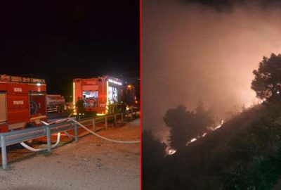 Mudanya’da makilik alanda yangın