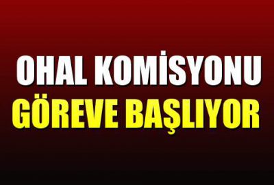 OHAL Komisyonu göreve başlıyor