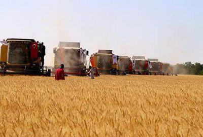Buğday alım fiyatı açıklandı