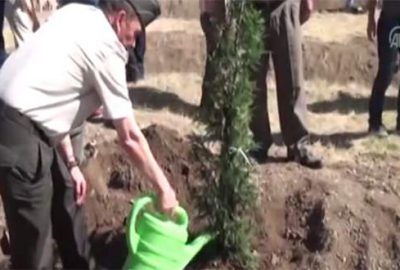 Silah arkadaşından şehit Halisdemir anısına fidan