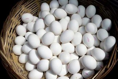 Yumurta fiyatları dip yaptı