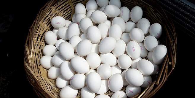 Yumurta fiyatları dip yaptı