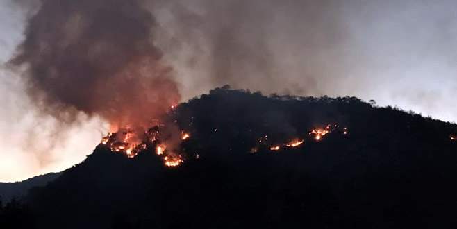 İzmir’de orman yangını: 5 hektara yakın alan kül oldu