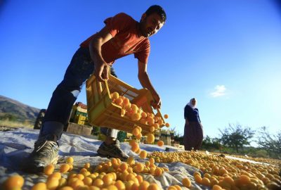 Mevsimlik işçi taşıma kuralları açıklandı