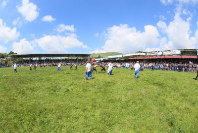 Perşembe Yaylası festivali başlıyor