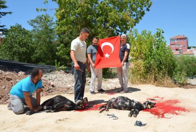 15 Temmuz şehitleri için kurban kesildi