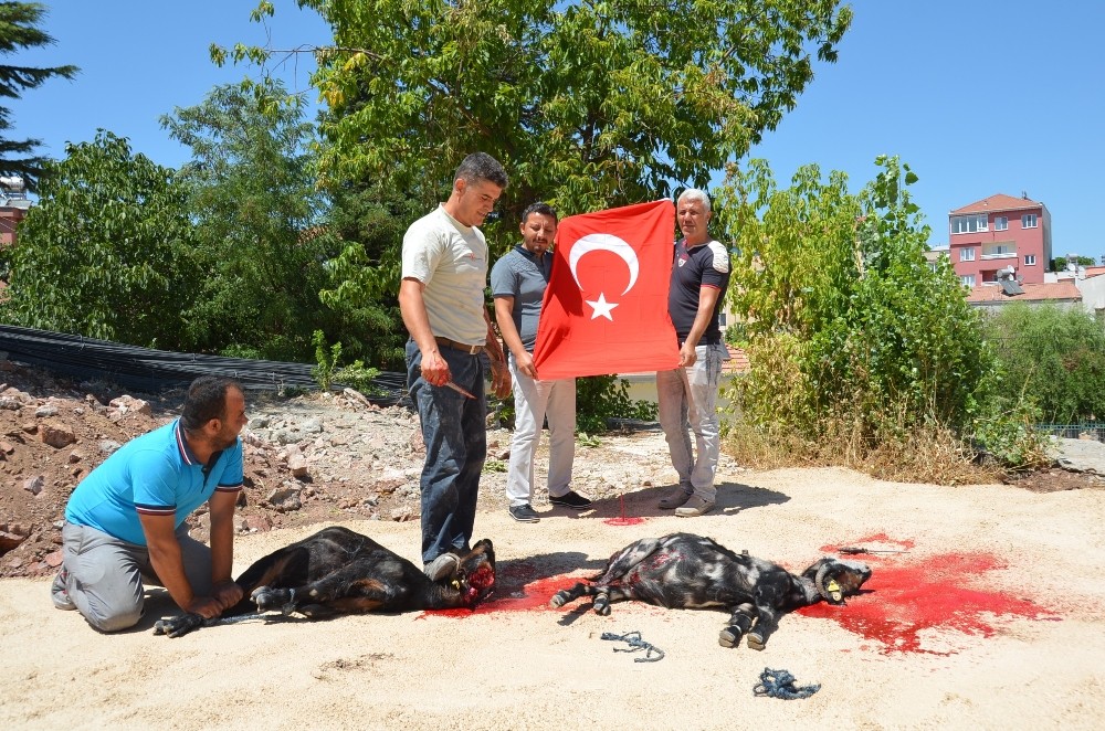 15 Temmuz şehitleri için kurban kesildi