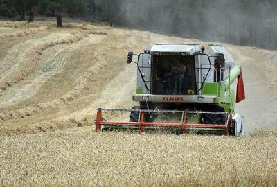 ‘Buğday rekoltesinde yüzde 25-30 artış bekliyoruz’