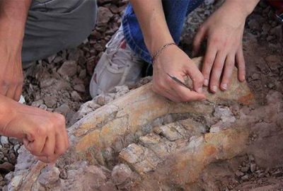 Ayağı takıldı, 1 milyon yaşında fosil buldu