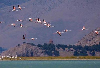 Bazı kuş türlerinin Kuzey Afrika'dan İran'a uzanan yolculuğunda en önemli