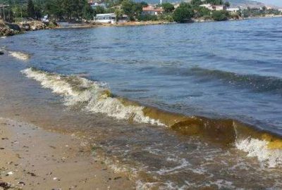 Erdek sahilleri kahverengiye boyandı