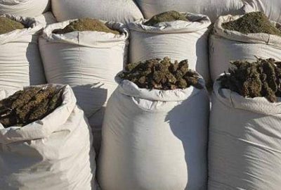 Çanakkale’de 1,5 ton esrar ele geçirildi