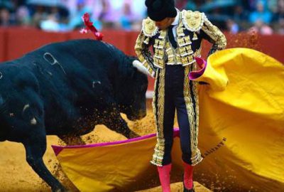 Boğalar artık öldürülmeyecek