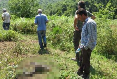 Hayvan katliamı! Silahla vurup gövdelerini çaldılar