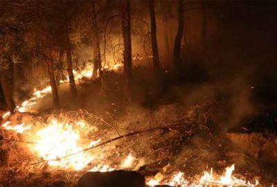 Dev yangın yaklaşık 40 saattir sürüyor