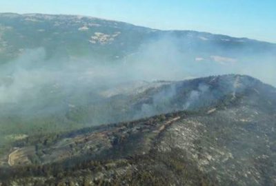 İzmir’deki orman yangını kontrol altına alındı