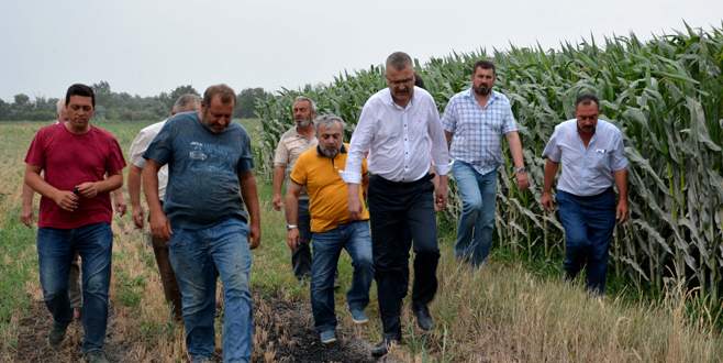 Taş ocağı tepkisi