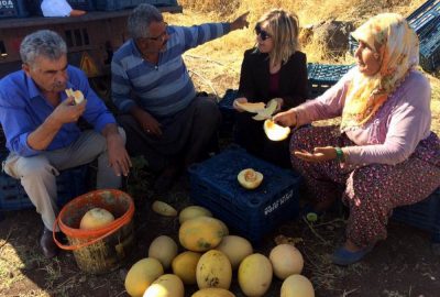 İl Müdürü Kadıoğlu domates ve kavun üreticileri ile bir araya geldi