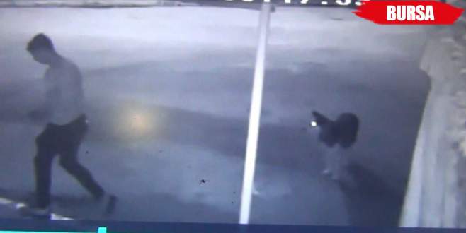 Köpeğiyle çay bahçelerini soyan hırsız yakayı ele verdi