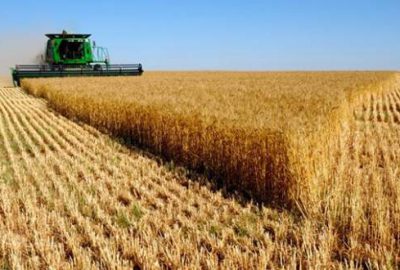 Et ve hububatta ‘sıfır vergili’ önlem