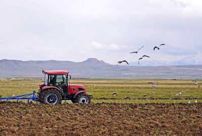 Çiftçiye ‘kaçak tohum’ uyarısı