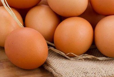 Yumurta üreticisi fiyattan memnun değil