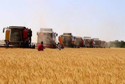 İthalat yetkisi üreticiyi mağdur etmeyecek