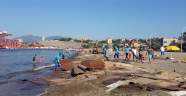 Kıyıya vuran suntaların temizliğine Büyükşehir el attı